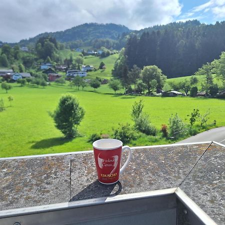 Wohnung Rheintal Im Alpenvorland Batschuns المظهر الخارجي الصورة