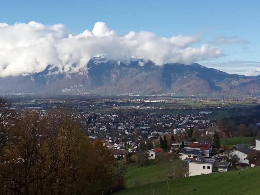 Wohnung Rheintal Im Alpenvorland Batschuns المظهر الخارجي الصورة