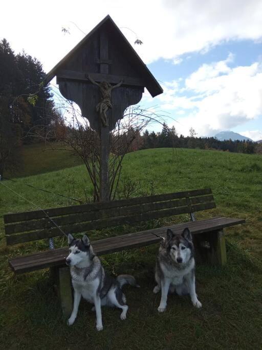 Wohnung Rheintal Im Alpenvorland Batschuns المظهر الخارجي الصورة