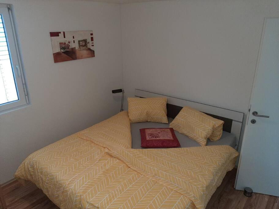 Wohnung Rheintal Im Alpenvorland Batschuns المظهر الخارجي الصورة