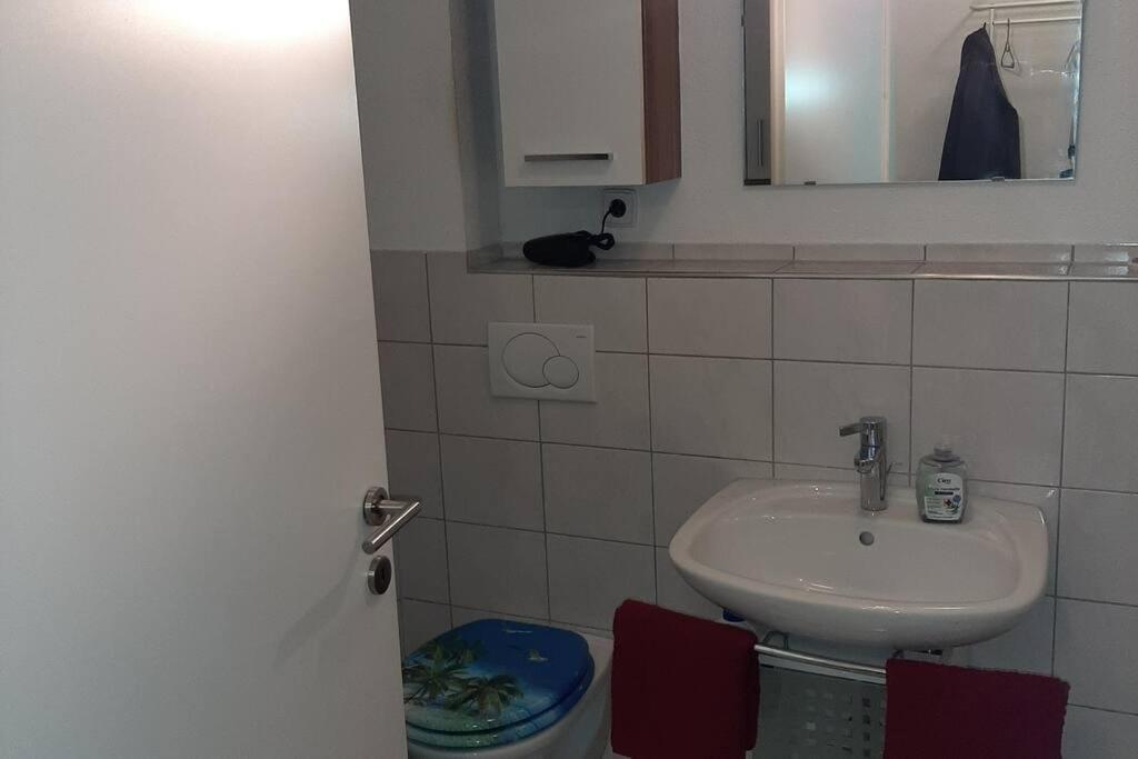 Wohnung Rheintal Im Alpenvorland Batschuns المظهر الخارجي الصورة