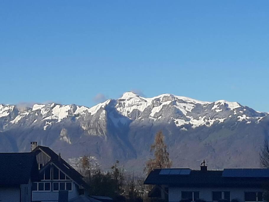 Wohnung Rheintal Im Alpenvorland Batschuns المظهر الخارجي الصورة