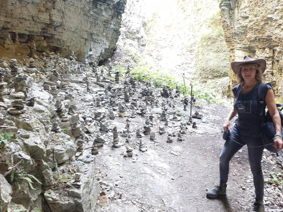 Wohnung Rheintal Im Alpenvorland Batschuns المظهر الخارجي الصورة