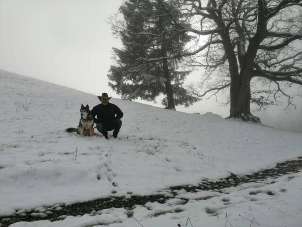 Wohnung Rheintal Im Alpenvorland Batschuns المظهر الخارجي الصورة