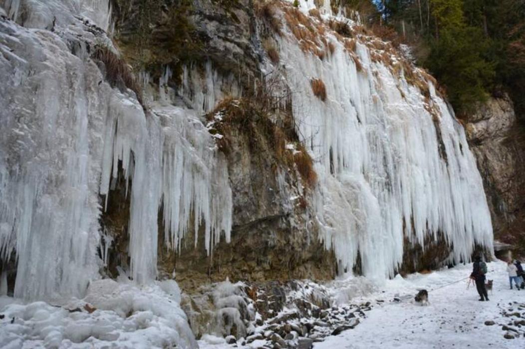 Wohnung Rheintal Im Alpenvorland Batschuns المظهر الخارجي الصورة