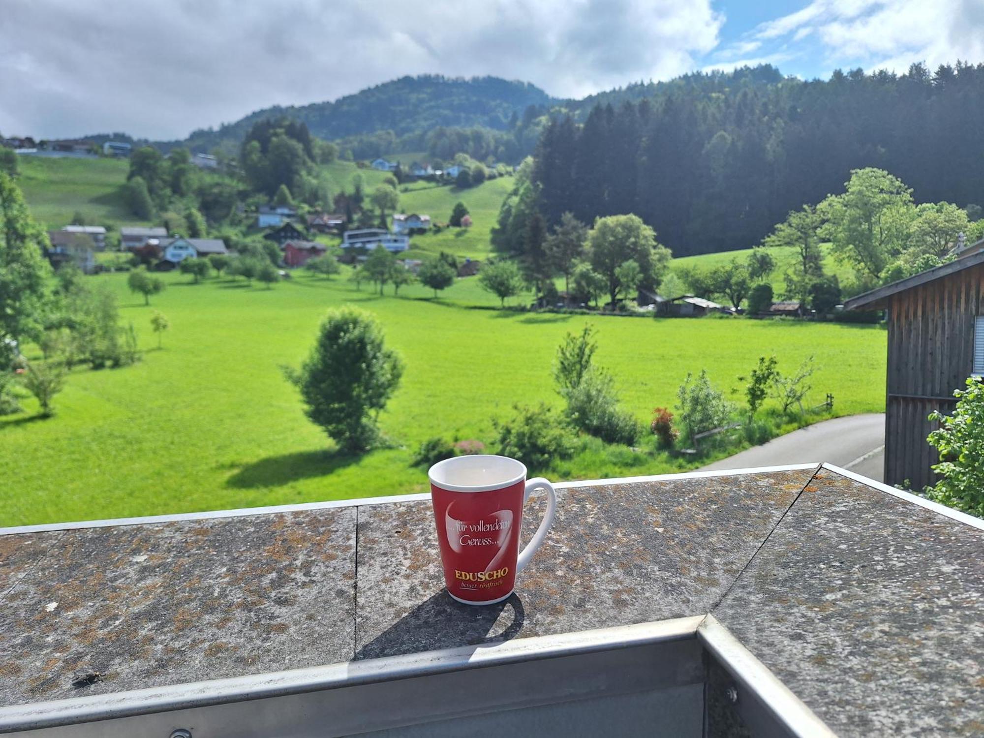 Wohnung Rheintal Im Alpenvorland Batschuns المظهر الخارجي الصورة
