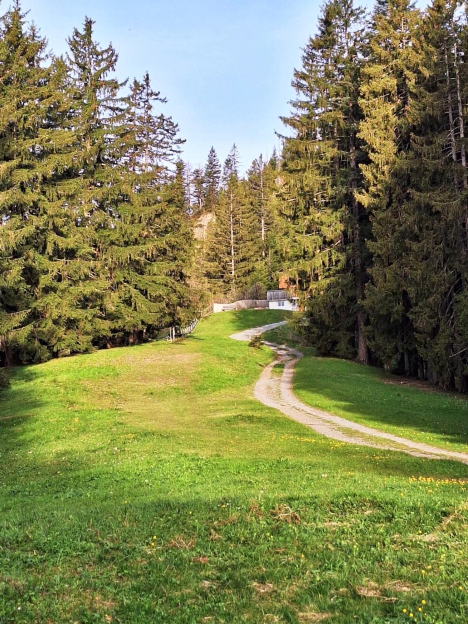 Wohnung Rheintal Im Alpenvorland Batschuns المظهر الخارجي الصورة