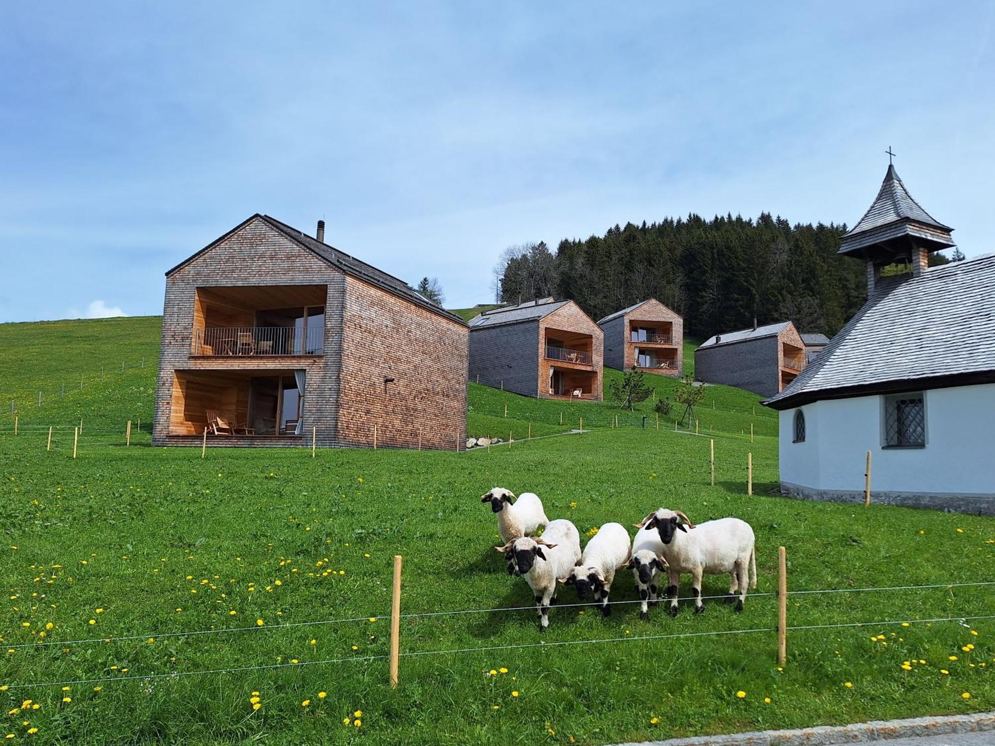 Wohnung Rheintal Im Alpenvorland Batschuns المظهر الخارجي الصورة
