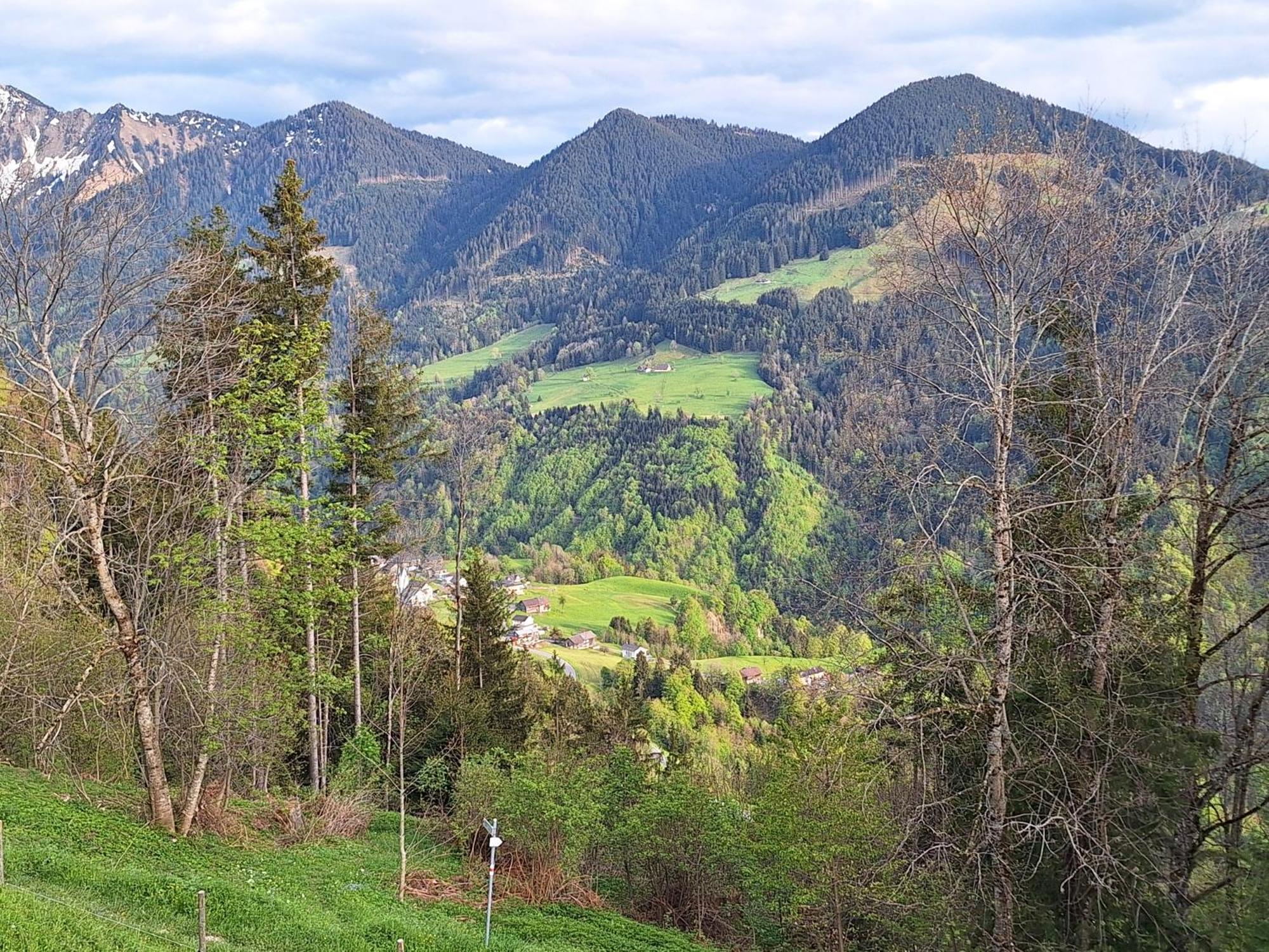 Wohnung Rheintal Im Alpenvorland Batschuns المظهر الخارجي الصورة