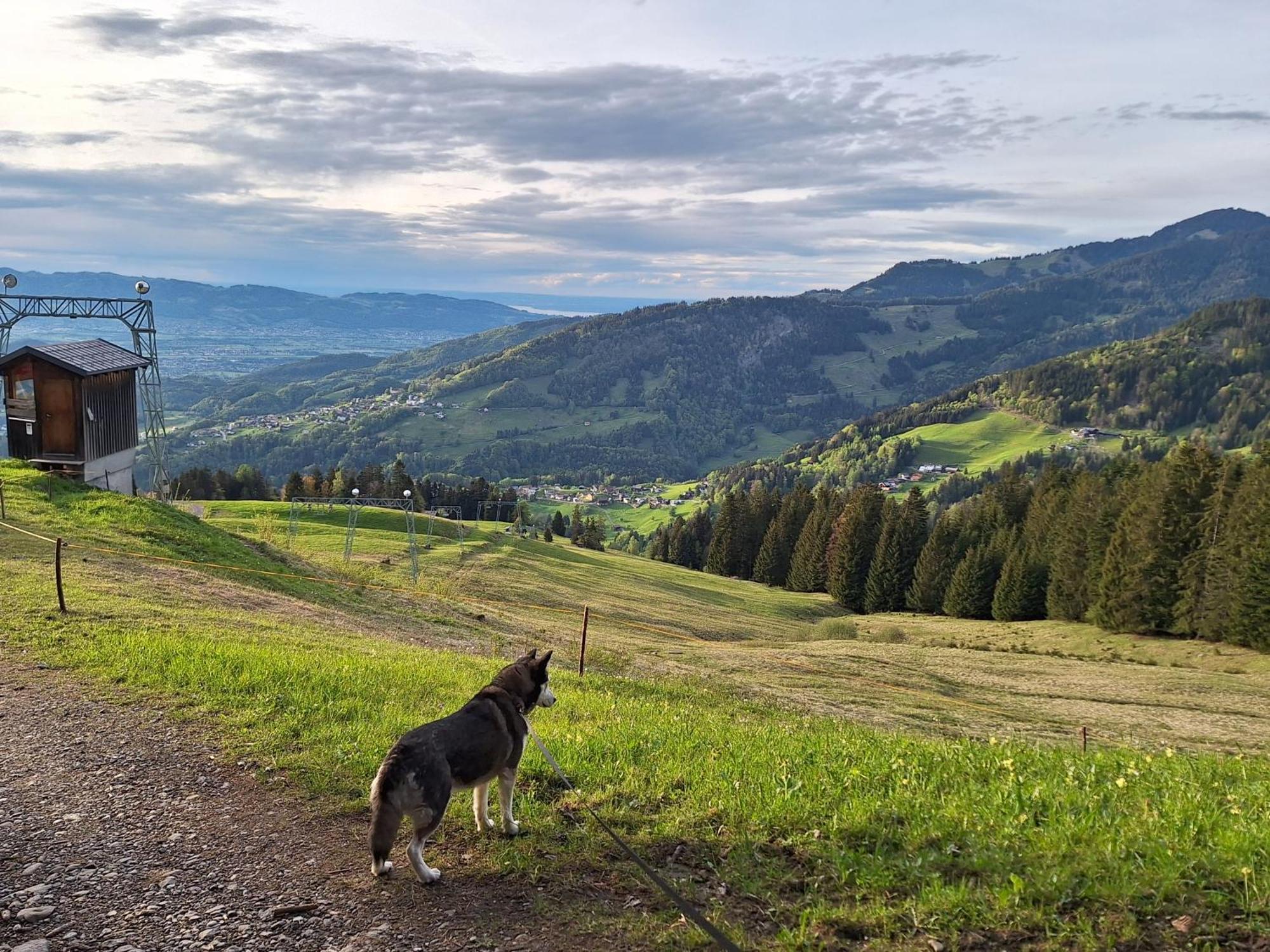Wohnung Rheintal Im Alpenvorland Batschuns المظهر الخارجي الصورة